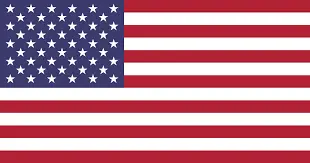 american flag-George Morlan