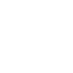 ce logo George Morlan