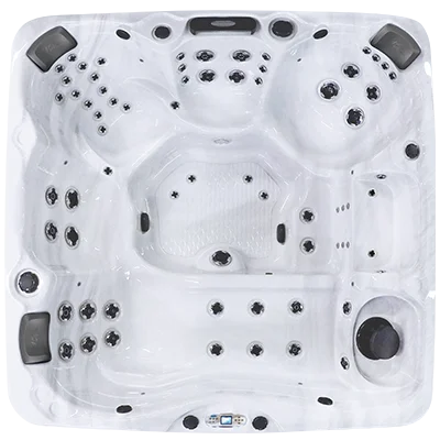 Avalon EC-867L hot tubs for sale in George Morlan